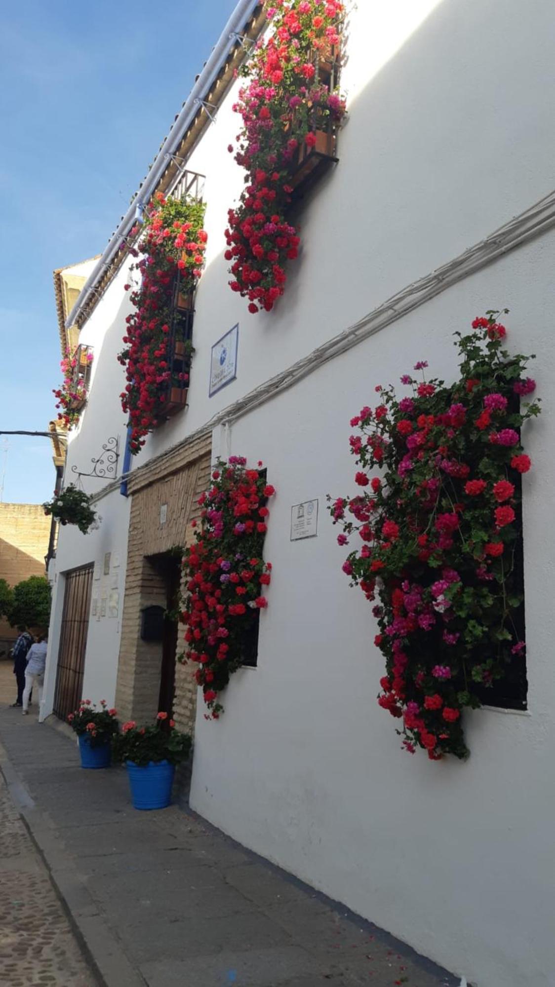Apartmán El Rincon De Jesus Y Loli Córdoba Exteriér fotografie